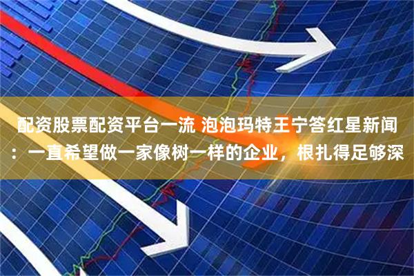配资股票配资平台一流 泡泡玛特王宁答红星新闻：一直希望做一家像树一样的企业，根扎得足够深