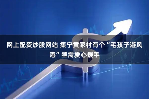 网上配资炒股网站 集宁黄家村有个“毛孩子避风港”亟需爱心援手