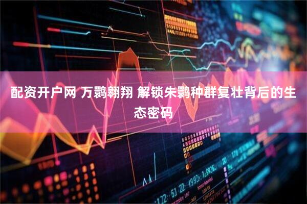配资开户网 万鹮翱翔 解锁朱鹮种群复壮背后的生态密码