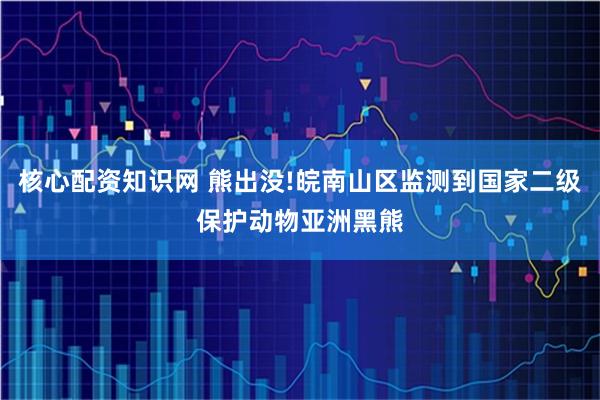 核心配资知识网 熊出没!皖南山区监测到国家二级保护动物亚洲黑熊