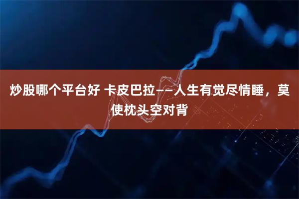 炒股哪个平台好 卡皮巴拉——人生有觉尽情睡，莫使枕头空对背